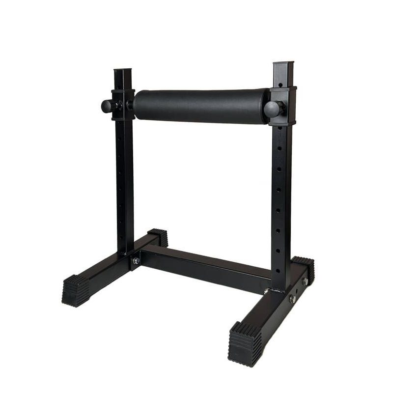 Adjustable Single Leg Squat St - Home Gym Designs recension och pris