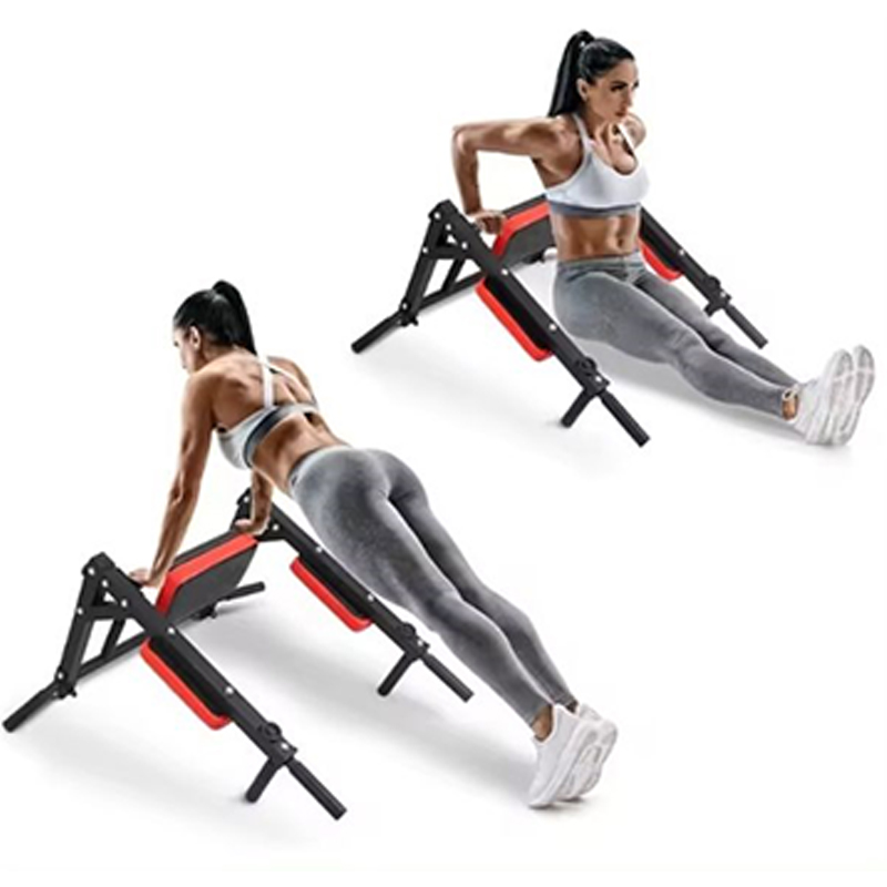 Heavy Duty Wall Mounted Parall - Home Gym Pull Up Bar recension och pris