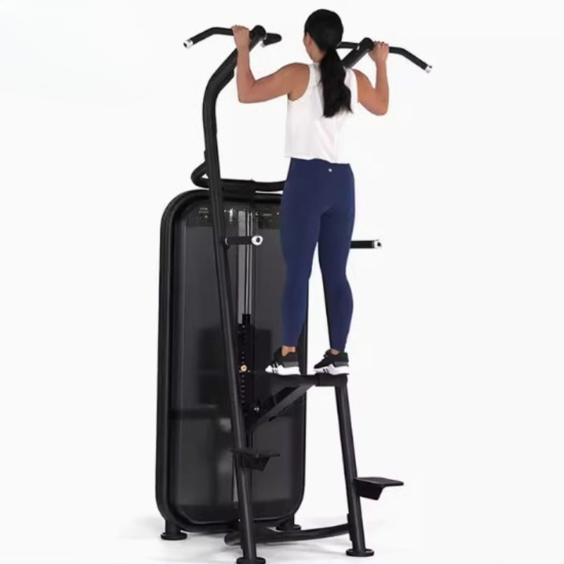 Assisted pull-up parallel bar  - Home Gym Equipment Diy recension och pris