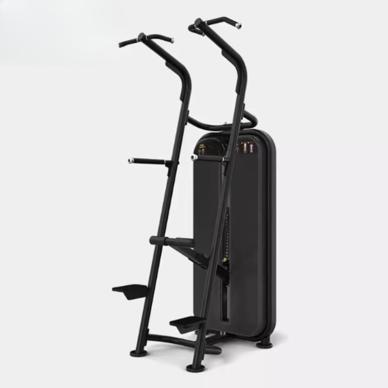 Assisted pull-up parallel bar  - Home Gym Equipment Diy recension och pris